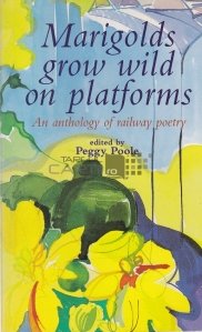Marigolds Grow Wild on Platforms
