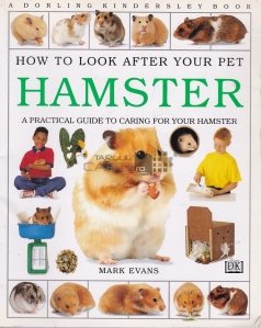 How to Look After Yout Pet Hamster