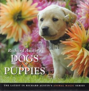 Richard Austin's Dogs and Puppies
