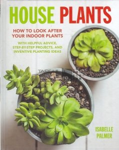 House Plants / Plante de casa