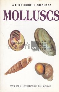 Molluscs / Moluşte