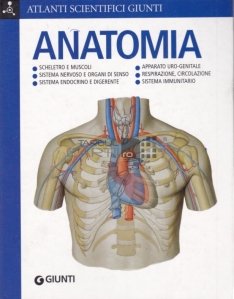 Anatomia / Anatomie