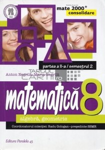 Matematica: algebra, geometrie: clasa a VIII-a