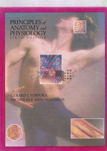 Principles of anatomy and psysiology / Principii ale anatomiei si fiziologiei