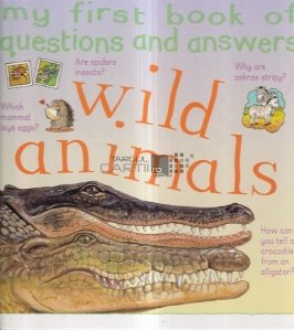 My First Book of Questions and Answers