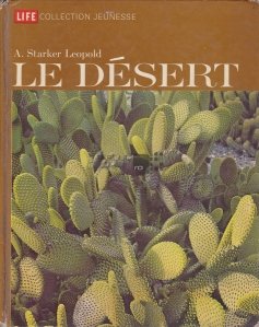 Le dessert / Desertul