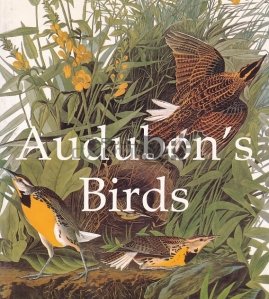 Audubon's Birds / Pasarile lui Audubon's