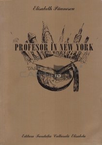 Profesor in New York