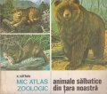 Mic atlas Zoologic