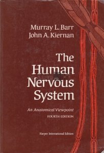 The human nervous system / Sistemul nervos uman