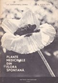 Plante medicinale din flora spontana