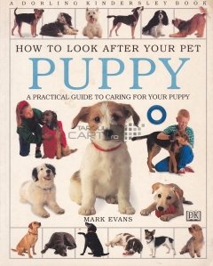 How to look after your pet puppy / Cum sa ai grija de catelusul tau. Un ghid practic pentru ingrijirea catelului tau.