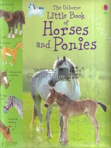 The Usborne Little Book of Horses and Ponies