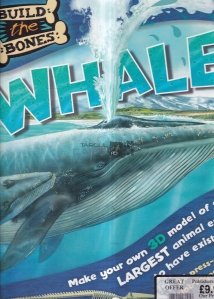Build the Bones: Whale