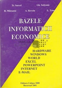 Bazele informaticii economice