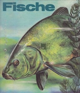 Fische / Peste