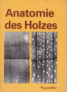 Anatomie des Holzes / Anatomia lemnului