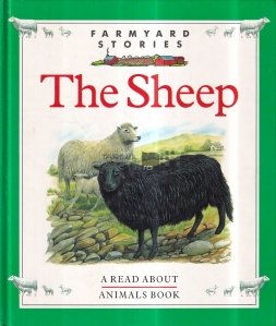 The Sheep
