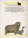 Bildatlas der Haus-und Hoftiere / Atlasul in imagini al casei si al animalelor de la ferma. 300 de rase mai cunoscute si rare