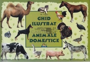Ghid ilustrat pentru cei mici despre animale domestice