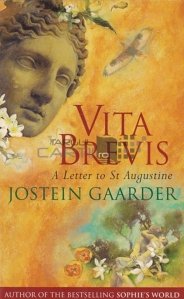 Vita brevis, a letter to St. Augustine / Viata este scurta, o scrisoare catre Sf. Augustin