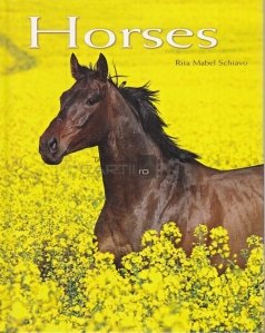 Horses / Cai