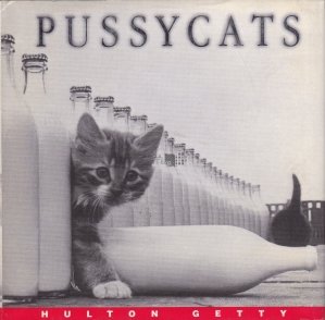 Pussycats / Pisicile