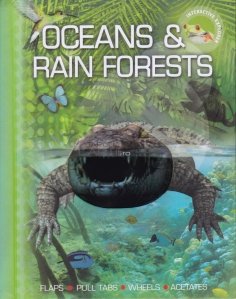 Ocean & Rain Forests / Oceanul si padurile tropicale