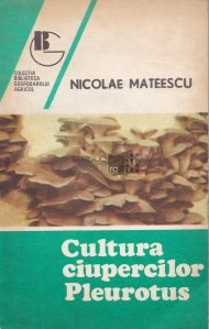 Cultura ciupercilor Pleurotus