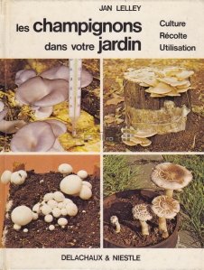 Les champignons dans votre jardin / Ciupercile in gradina voastra