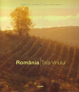 Romania / Tara vinului