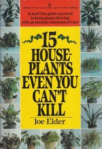 15 house-plants even you can't kill / 15 plante de casa pe care nici macar tu nu le poti omora