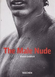 The Male Nude / Nudul masculin