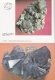 Encyclopedie des mineraux / Enciclopedia mineralelor