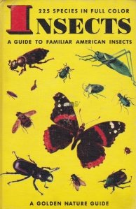 Insects / Insecte. Un ghid al insectelor familiare din America