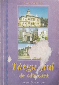Targu Jiul de odinioara