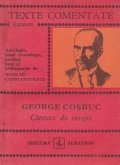 George Cosbuc