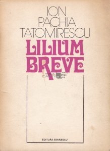 Lilium Breve
