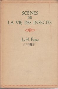 Scenes de la vie des insects / Scene din viata insectelor