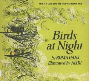Birds at night