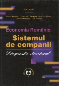 Economia Romaniei. Sistemul de companii