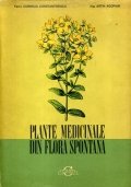 Plante medicinale din flora spontana