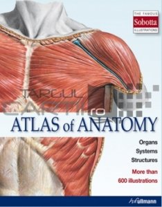 Atlas of anatomy / Atlas de anatomie - Ilustratii Sobotta
