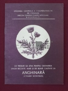 Ce trebuie sa stim pentru obtinerea unor recolte mari si de buna calitate la Anghinara (Cynara Scolymus)