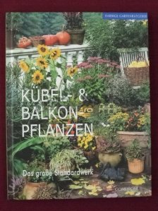 Kubel- & Balkon-Pflanzen