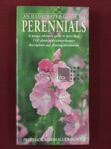 An illustrated guide to Perennials