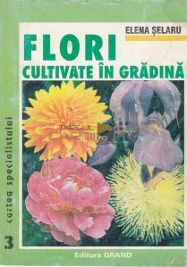 Flori cultivate in gradina