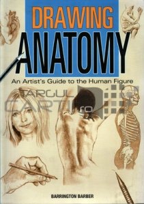 Drawing anatomy