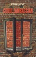 Codul Zambaccian