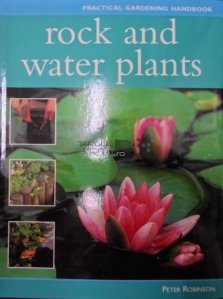 Rock and water plants